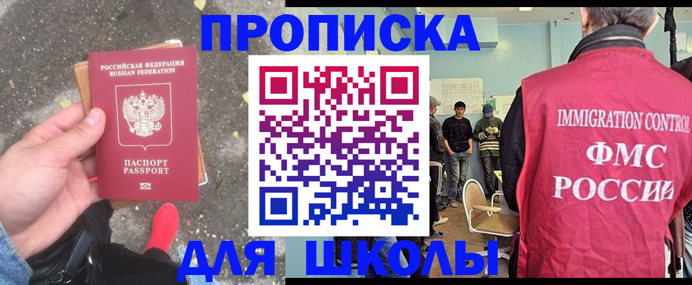 где прописаться в Волосово